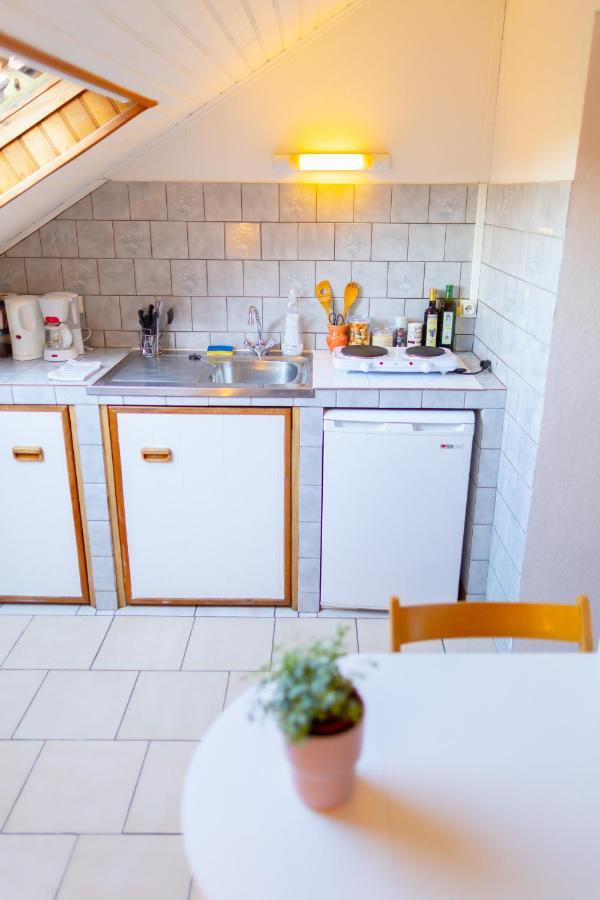Studio Cocon Sous Les Toits De Jaures Belfort Exterior foto